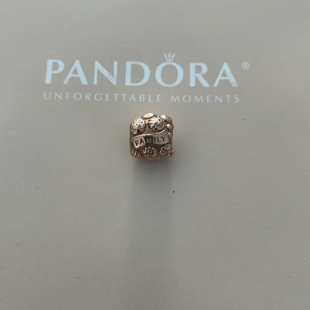 Pandora 14k rose gold plated Love & Family, charm